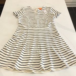 Women’s Dress. Size 12